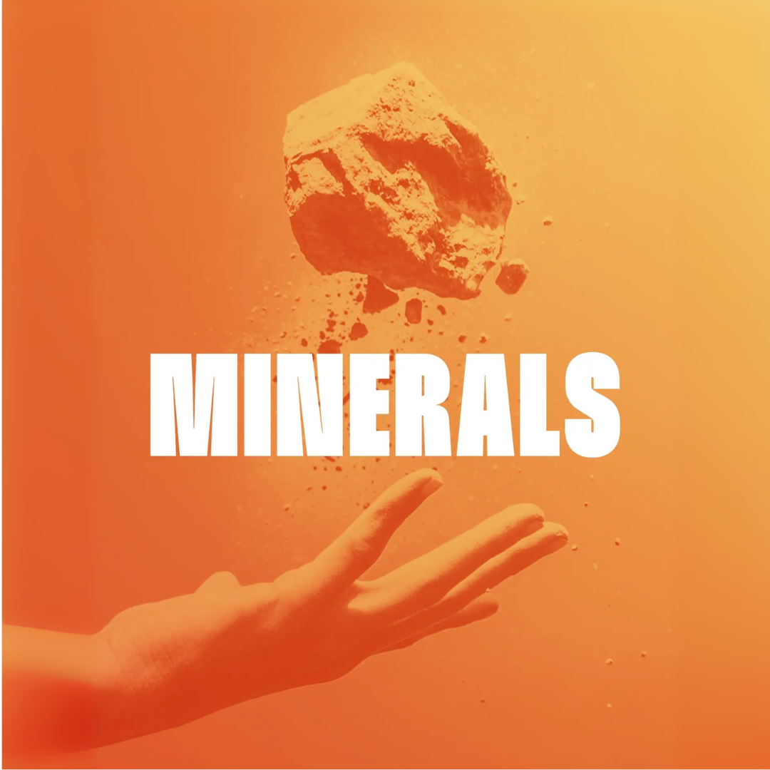 Your complete daily mineral needs (electrolytes, Zinc, Iodine, Selenium, and more)